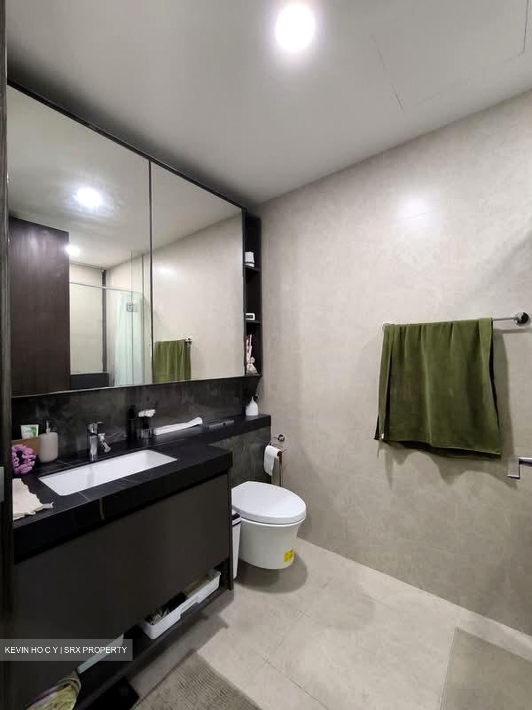 Parc Clematis (D5), Apartment #580247741